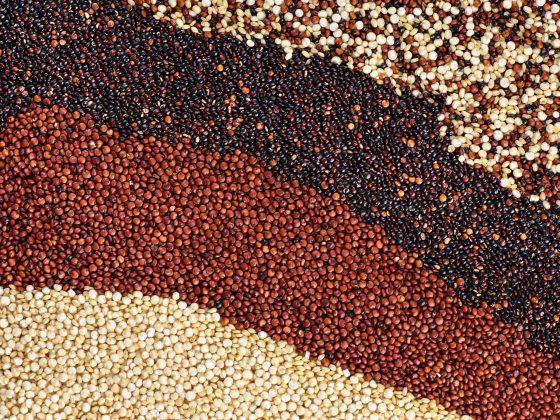 Black, red and white quinoa grains. Healthy food.