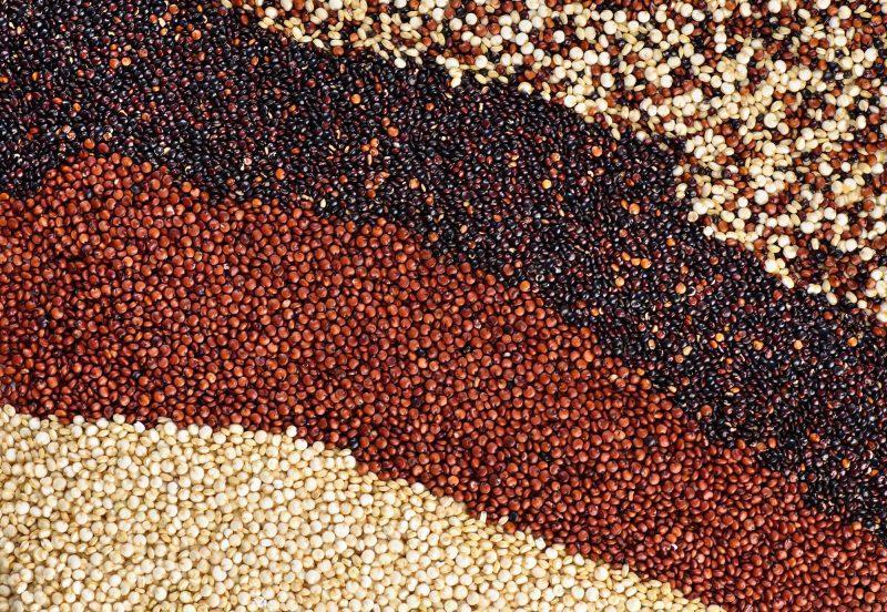 Black, red and white quinoa grains. Healthy food.