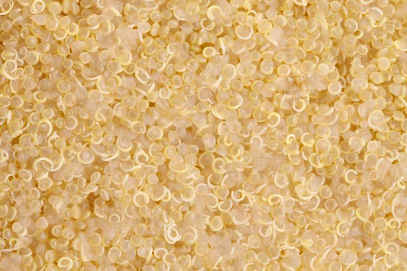 close up of cooked quinoa