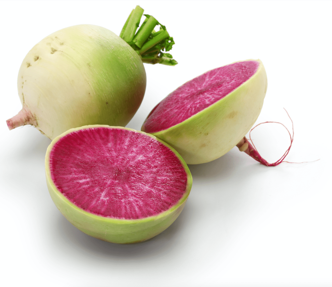 watermelon radish stock