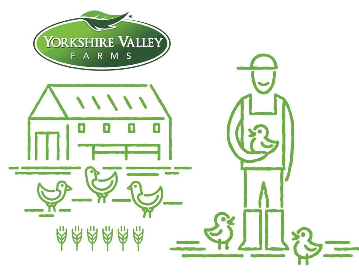 yorkshire valley farms logo with illustration of happy farmer with happy chicken on an organic farm