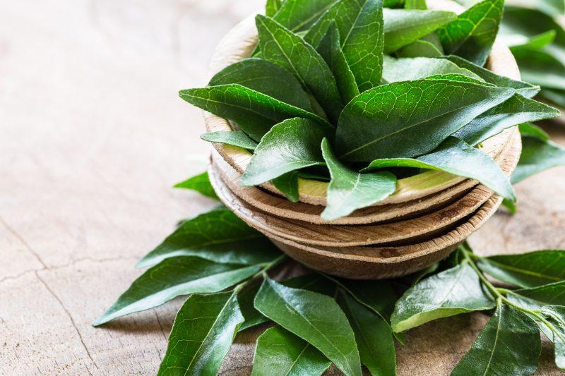 Fresh curry leaves in coconut bowl on wooden background close-up