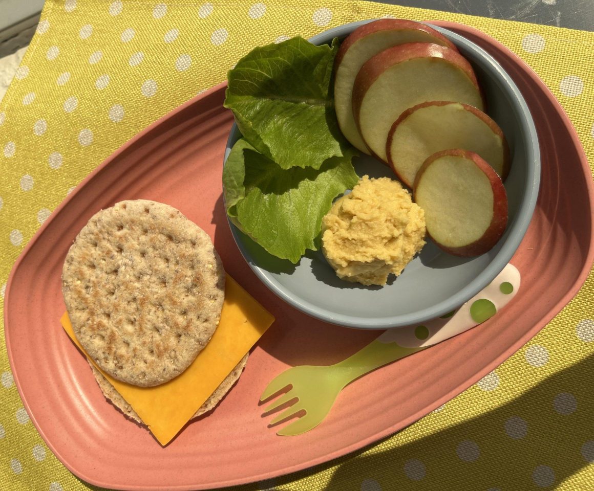 cheddar sandwich with whole wheat bun and side salad of apples lettuce and hummus on a blue bowl, pink plate and polka dot green yellow placemat