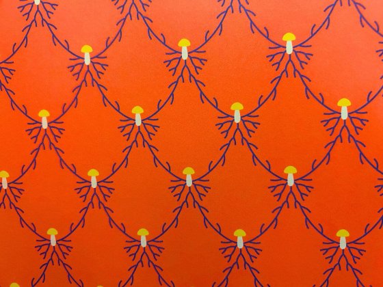 inside cover art for mushrooms grow canadian kids book showing red background and mushroom design illustrations