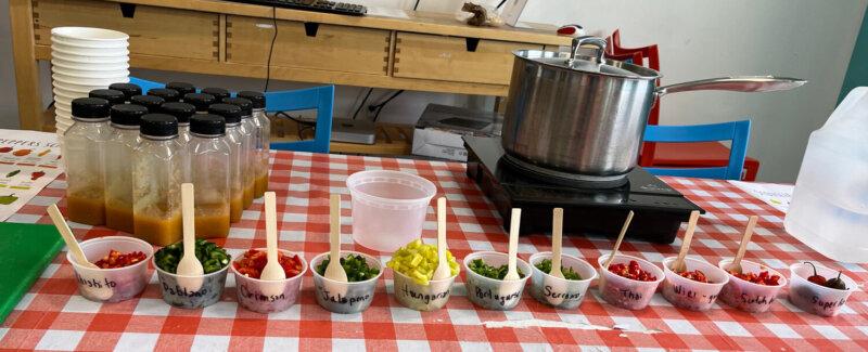 a wide array of hot peppers from all over the world in sample portions with spoons on top of checkered table cloth