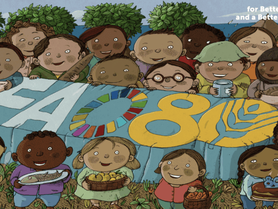 wfd banner