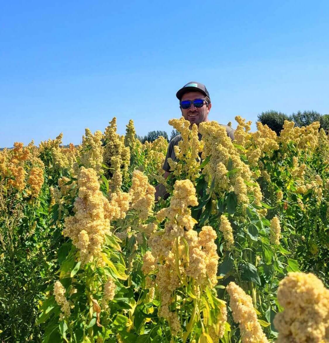 canadian quinoa blog body image 1