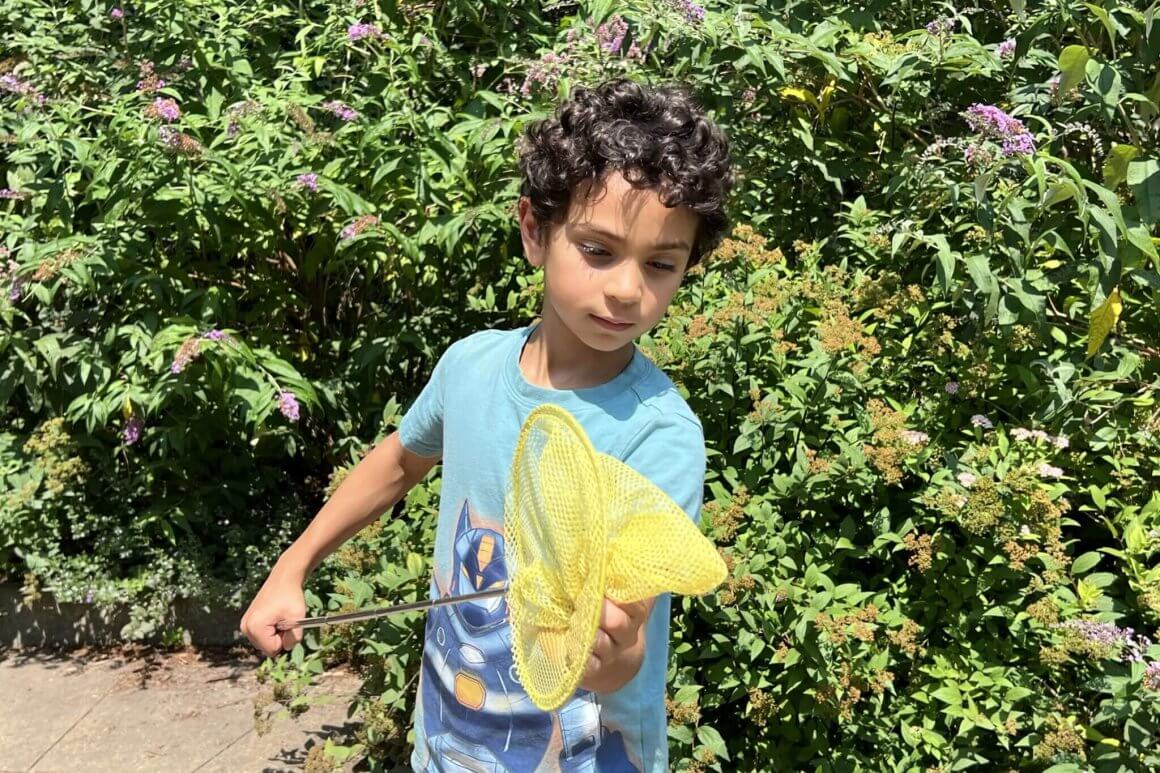 fun activities for march break! 1 kid with blue t shirt in front of green tree trying to catch bee