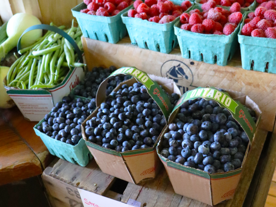 produce stand with various berries at barrie's asparagus in cambridge ontario