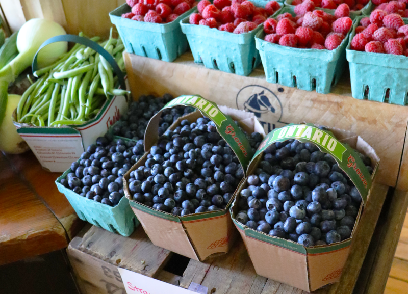 produce stand with various berries at barrie's asparagus in cambridge ontario