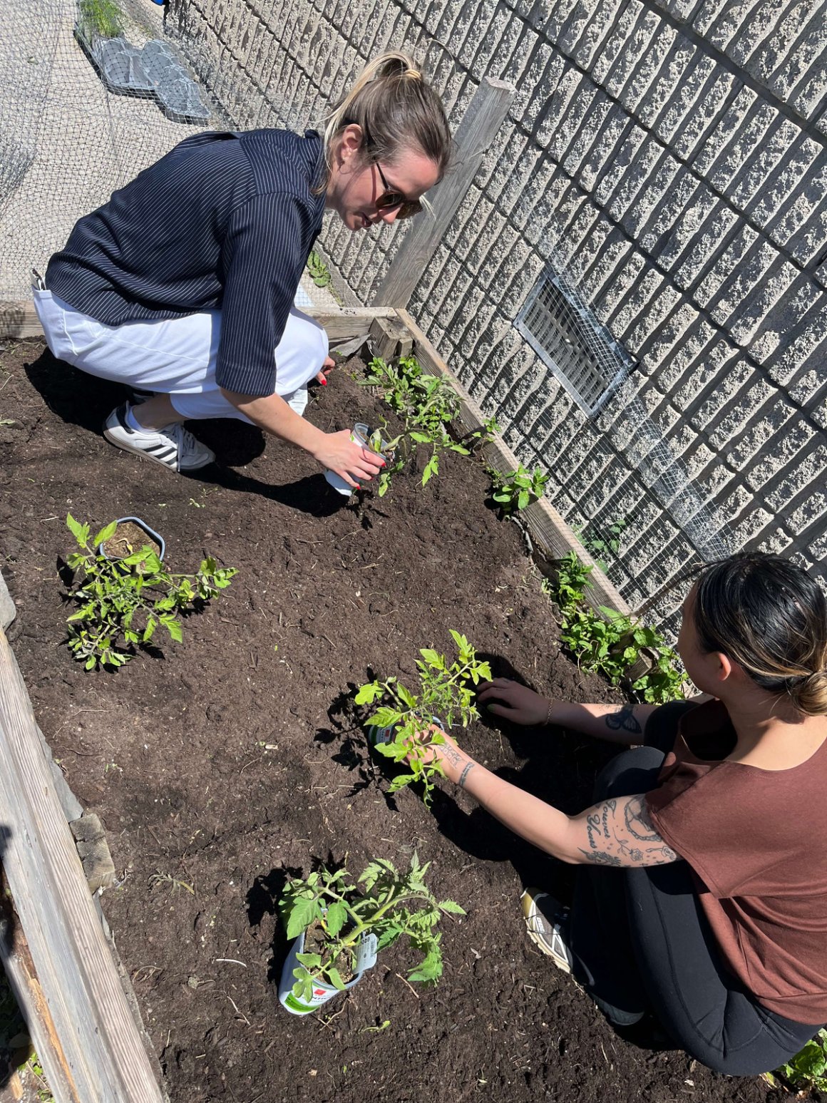 garden club! 1 two women gardening plants next to brick wall rfrk garden club