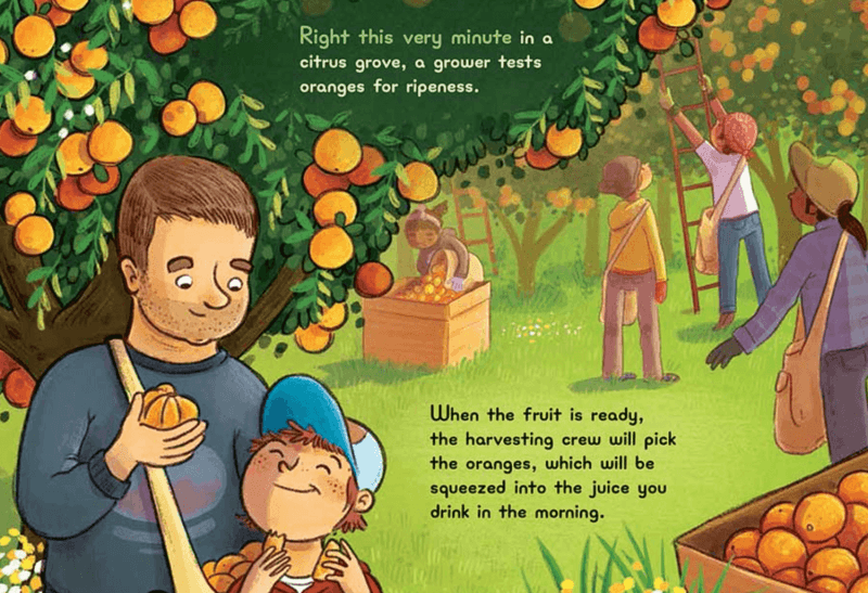 inside artwork right this very minute kids book showing illustration of citrus farmers and adult and child